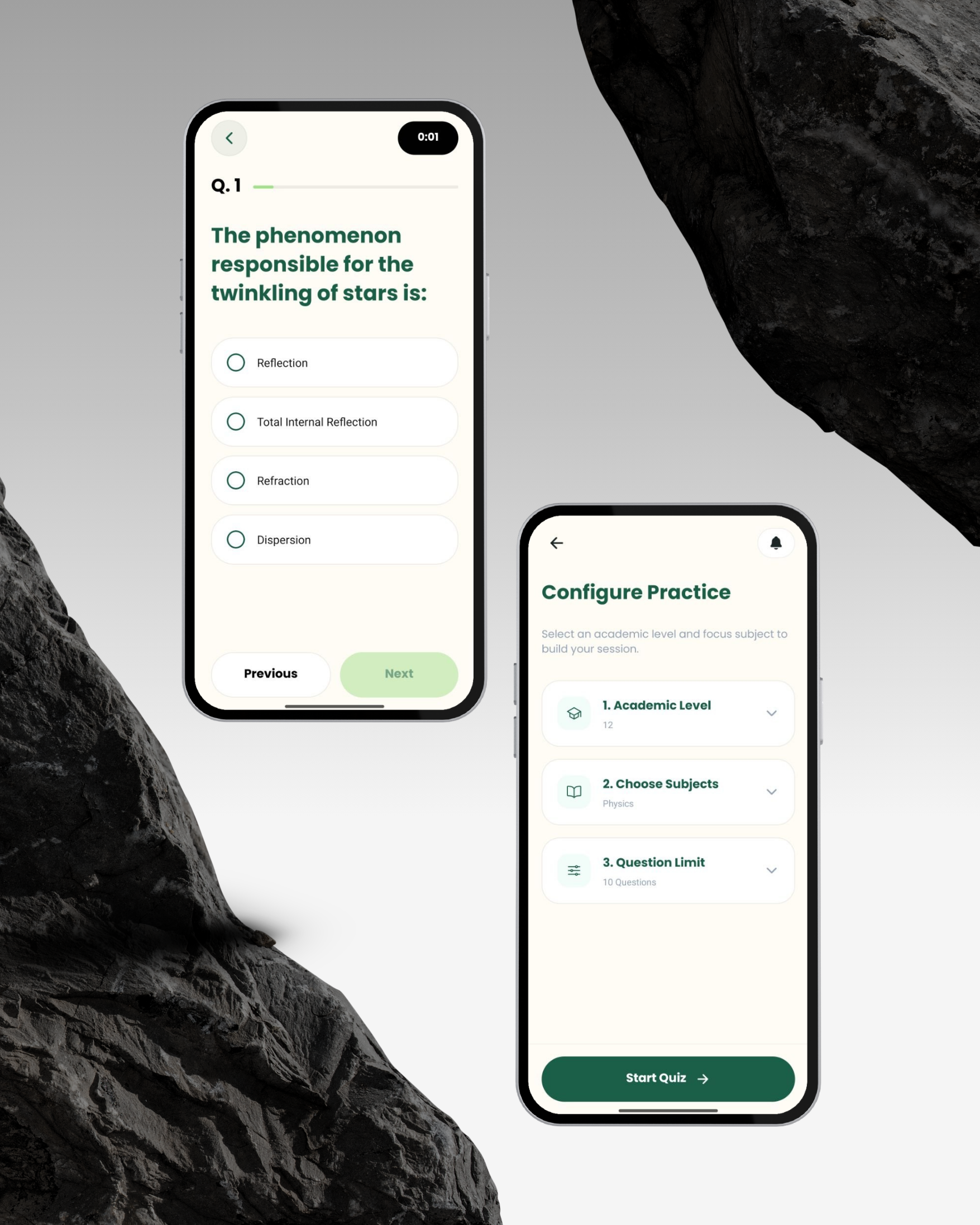 Interactive Quizzes